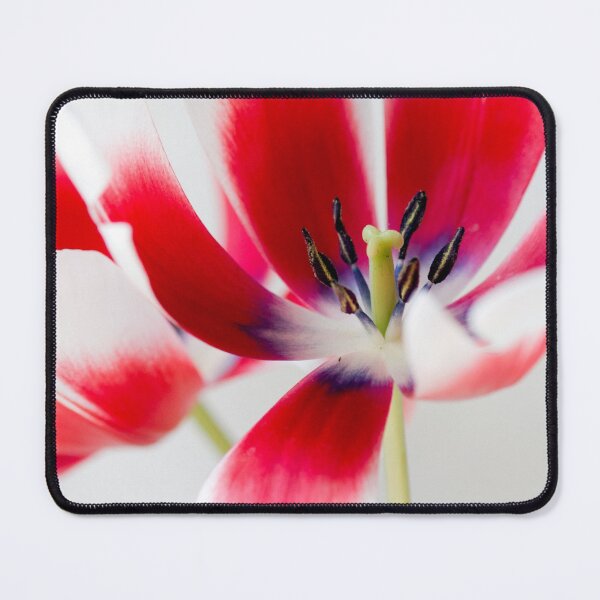 Item preview, Tulip designed and sold by Kenziewenze.