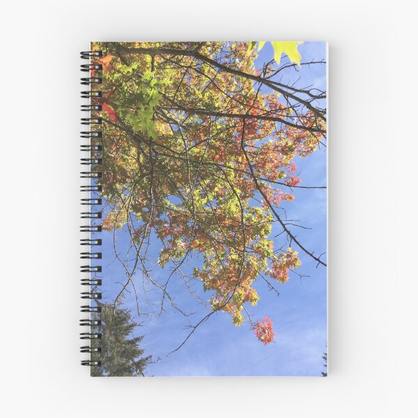 Item preview, Seasons Changing designed and sold by LeasPugGrumble.