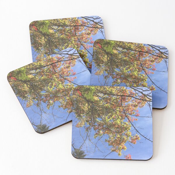 Item preview, Seasons Changing designed and sold by LeasPugGrumble.