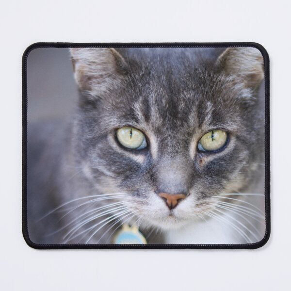 Item preview, Dudley designed and sold by Kenziewenze.