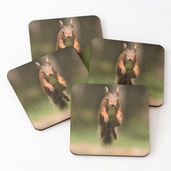 Item preview, Red Squirrel jumping in mid air designed and sold by Chris Monks.