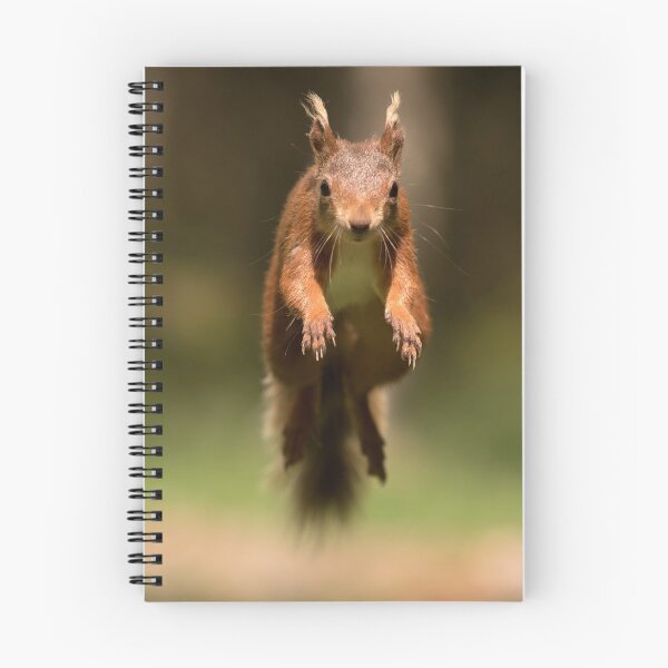 Artikelvorschau, Eichhörnchen springen in der Luft entworfen und verkauft von Chris Monks.