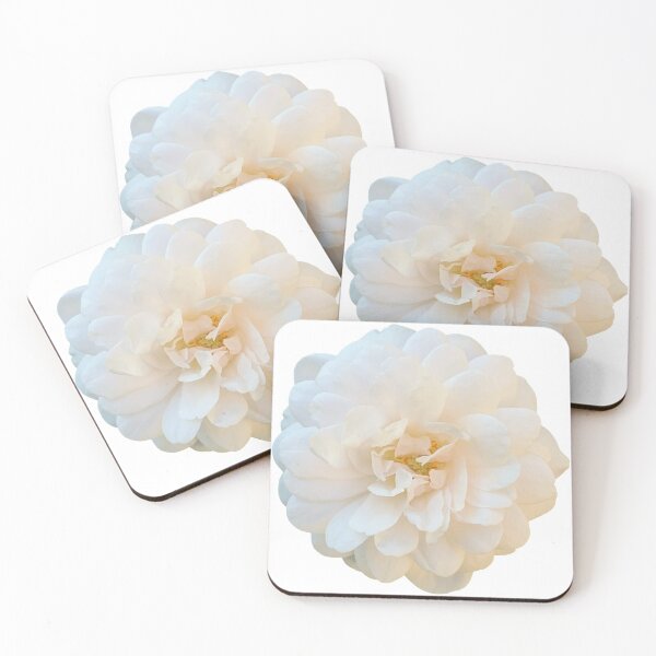 Item preview, White Rose Flower Still Life Floral Photography designed and sold by CottoVerdi.