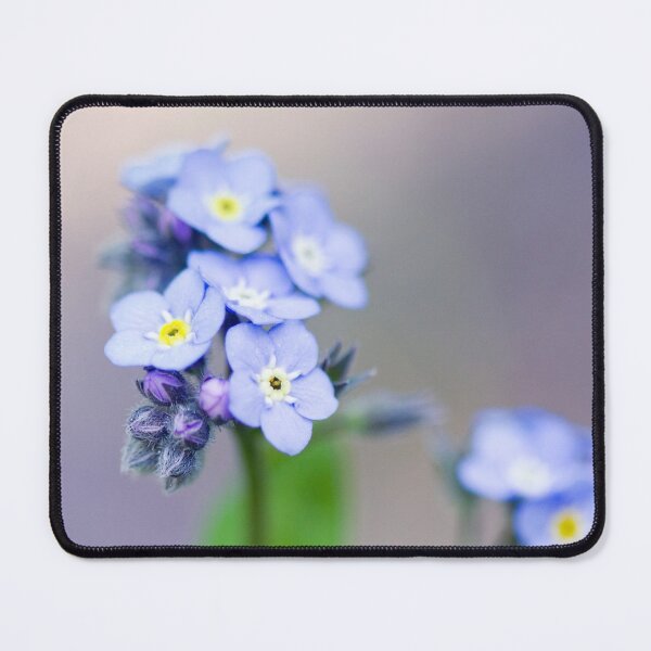 Item preview, Forget Me Not designed and sold by Kenziewenze.
