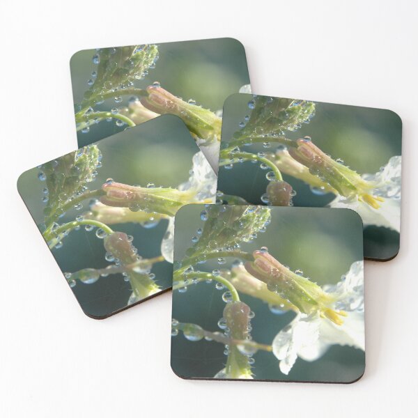 Item preview, Gotitas de agua designed and sold by Woodlandwisp.
