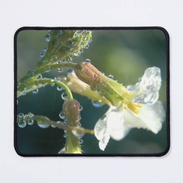 Item preview, Water Droplets designed and sold by Woodlandwisp.