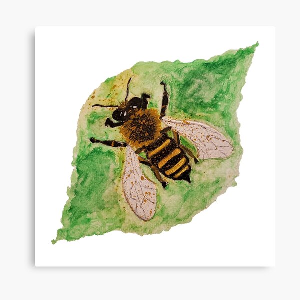 Honey Bee Wall Art Redbubble