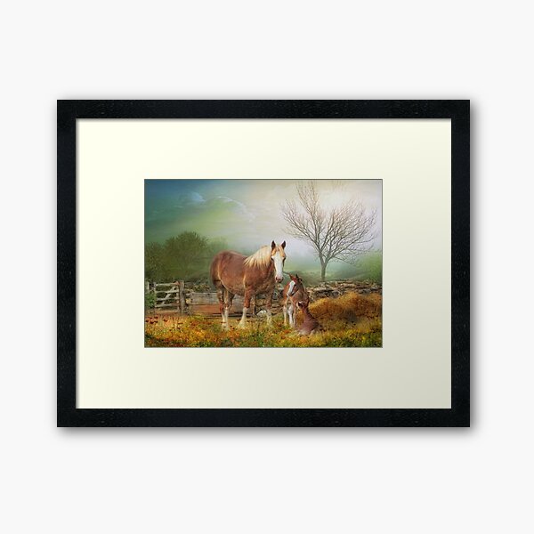 French Flowers! Framed Art Print