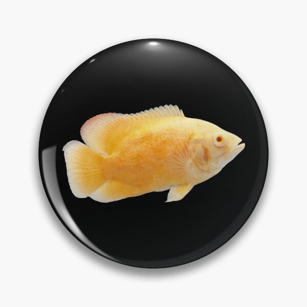 Item preview, Oscar Fish - For All Oscars Lovers designed and sold by AquariumExp.