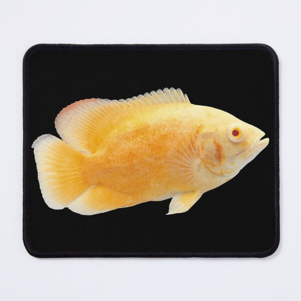 Item preview, Oscar Fish - For All Oscars Lovers designed and sold by AquariumExp.