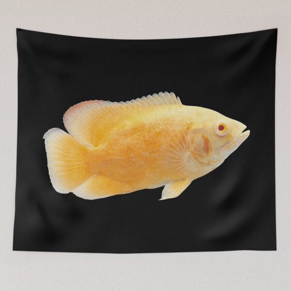 Item preview, Oscar Fish - For All Oscars Lovers designed and sold by AquariumExp.