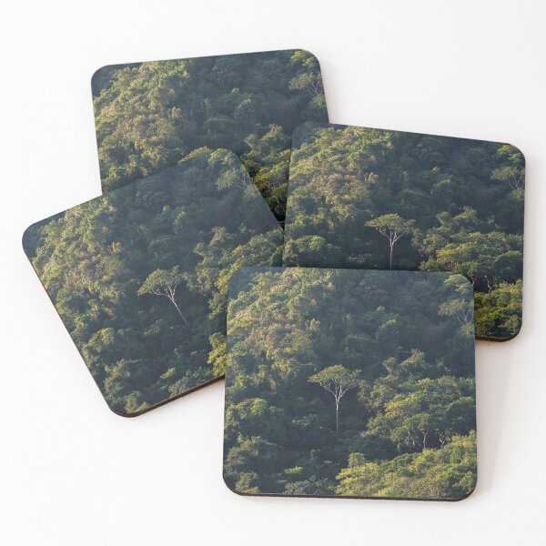 Item preview, Puerto Vallarta Forestscape | Landscape Photo Print designed and sold by admkng.