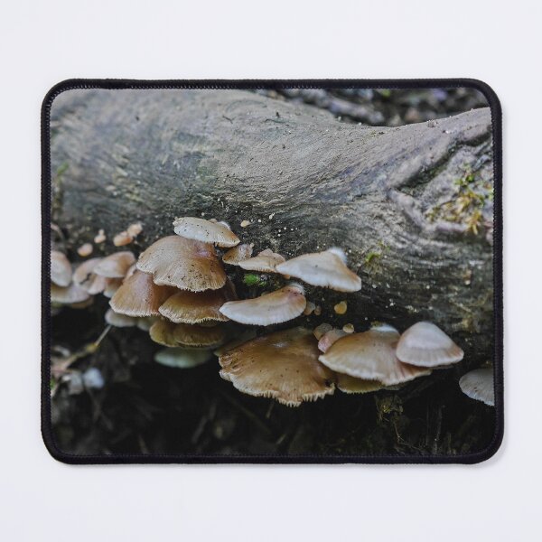 Brown Mushrooms on a Log Mouse Pad