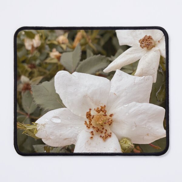 Raindrops on Roses Mouse Pad