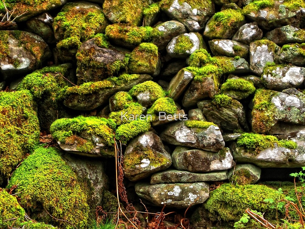 "Stone wall covered in moss." by Karen Betts | Redbubble