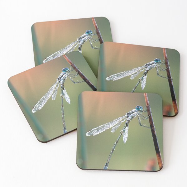 Item preview, Damselfly designed and sold by Bill Spengler's Photographic Thoughts.