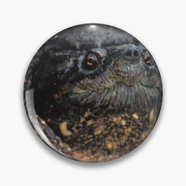 Item preview, A Snapping Turtle designed and sold by Bill Spengler's Photographic Thoughts.
