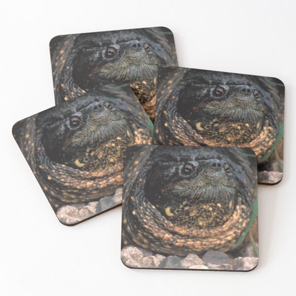Item preview, A Snapping Turtle designed and sold by Bill Spengler's Photographic Thoughts.