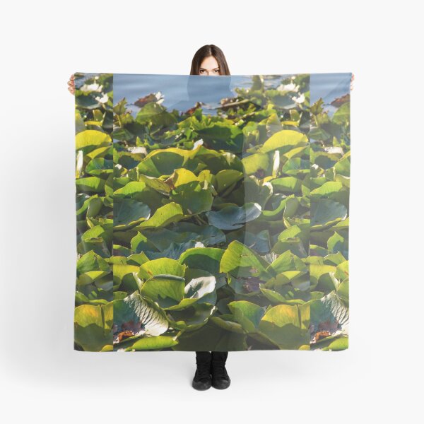 Item preview, Lilies designed and sold by TCPhotoStore.