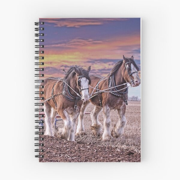 Item preview, Working Clydesdale Horses designed and sold by nigehutchison.