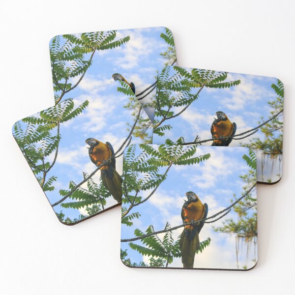 Item preview, Arara-azul designed and sold by narjaraphoto.