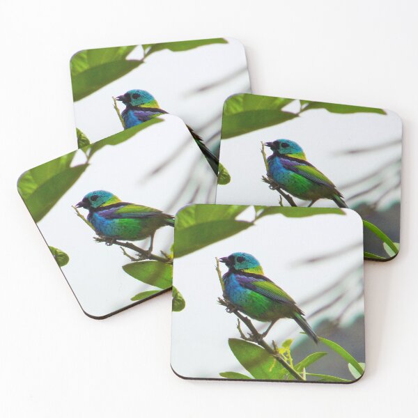 Item preview, Saíra-sete-cores designed and sold by narjaraphoto.