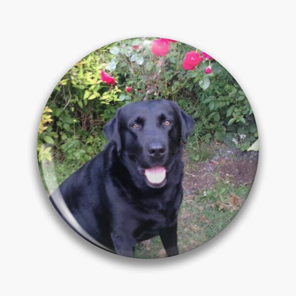 Item preview, Dog among red roses designed and sold by Katies-Creativ.