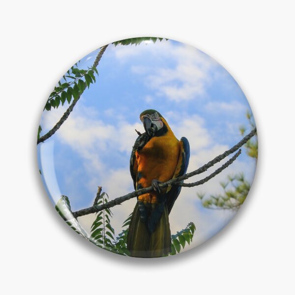 Item preview, Arara-azul designed and sold by narjaraphoto.