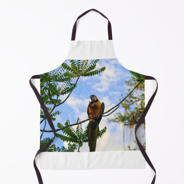 Item preview, Arara-azul designed and sold by narjaraphoto.