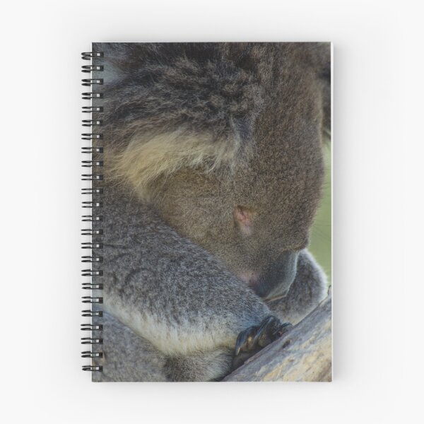 Item preview, Sleeping koala designed and sold by TCPhotoStore.