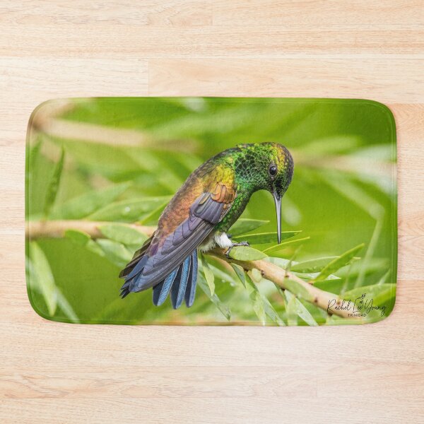 Item preview, Serenity - Copper rumped hummingbird designed and sold by Rachel Lee Young - Land of the Hummingbird.