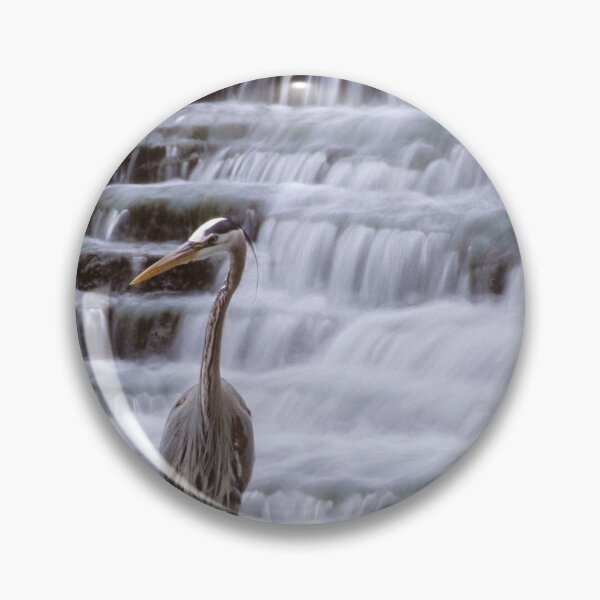 Artikelvorschau, Reiher auf der Rouge entworfen und verkauft von Bill Spengler's Photographic Thoughts.