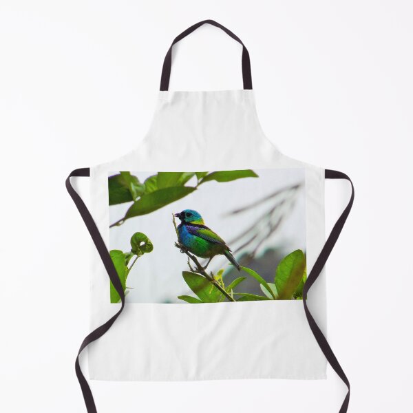 Item preview, Saíra-sete-cores designed and sold by narjaraphoto.
