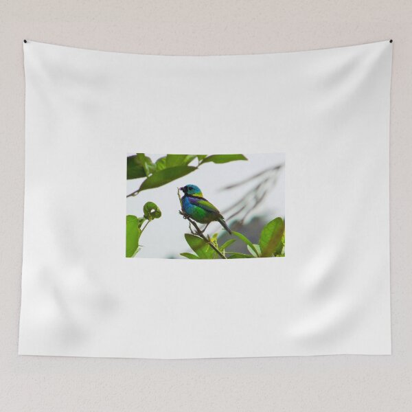 Item preview, Saíra-sete-cores designed and sold by narjaraphoto.