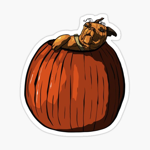 Pugkin Cute Pupper Pumpkin Pug Sticker Sticker