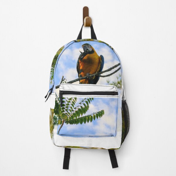 Item preview, Arara-azul designed and sold by narjaraphoto.