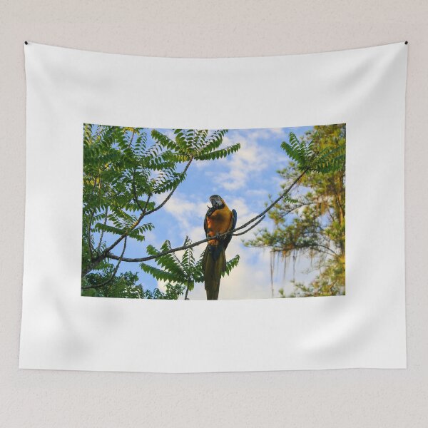 Item preview, Arara-azul designed and sold by narjaraphoto.