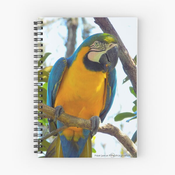 Item preview, Arara-canindé designed and sold by narjaraphoto.