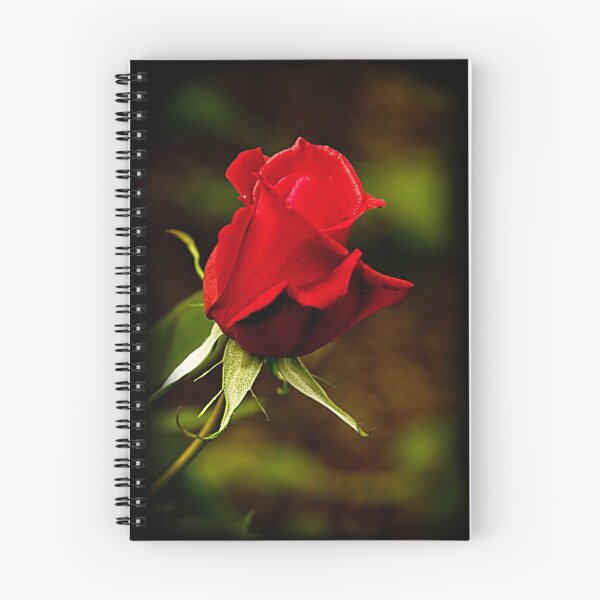 Item preview, Just a Rose designed and sold by jacqi.