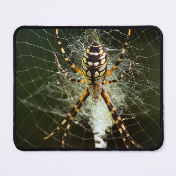 Item preview, Yellow garden spider designed and sold by Zina Stromberg.