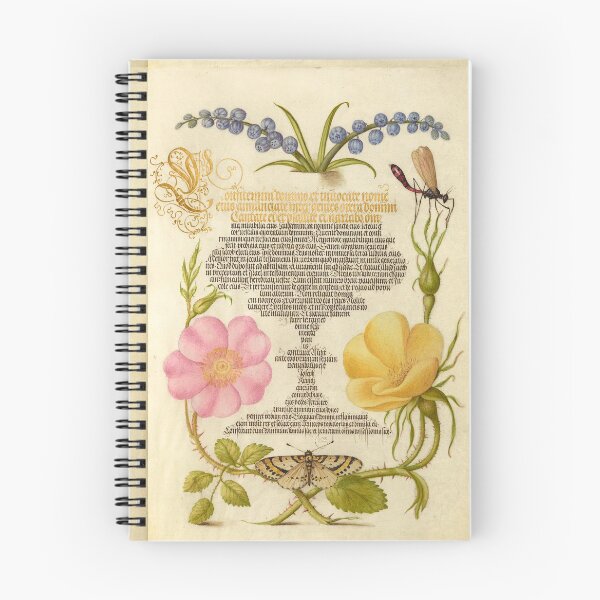 Item preview,  Blueberry, Hyacinth, and Insects by Joris Hoefnagel  designed and sold by MagicStrawberry.