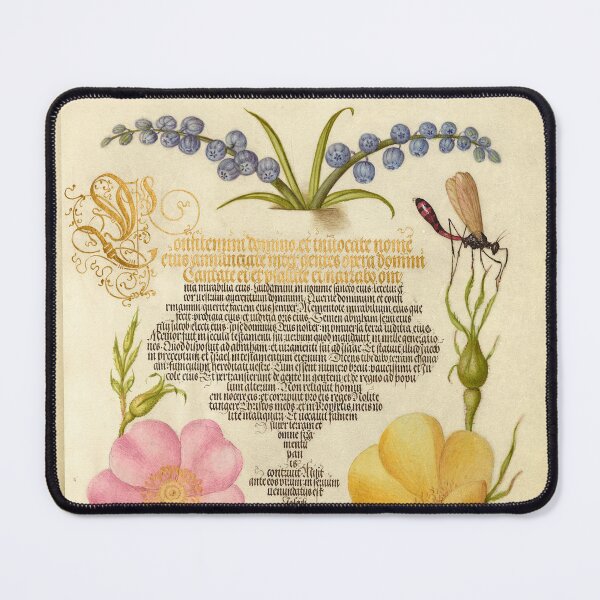 Item preview, Blueberry, Hyacinth, and Insects by Joris Hoefnagel designed and sold by MagicStrawberry.
