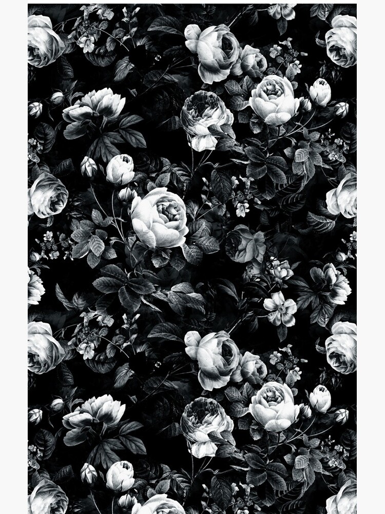 Roses Black and White by rizapeker
