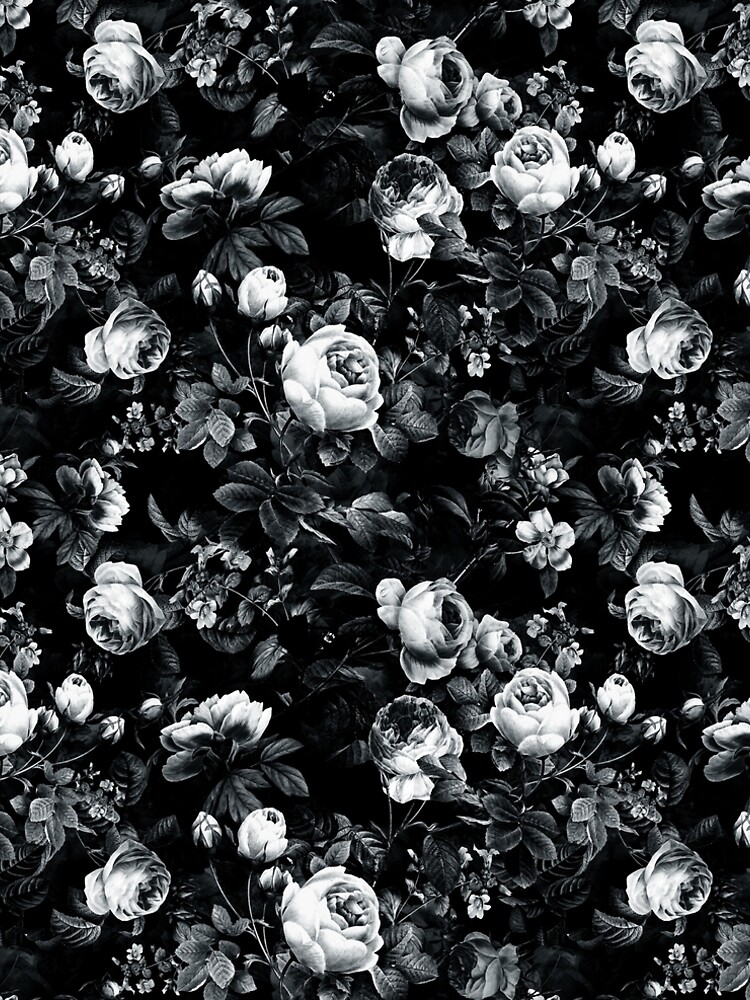 Roses Black and White by rizapeker