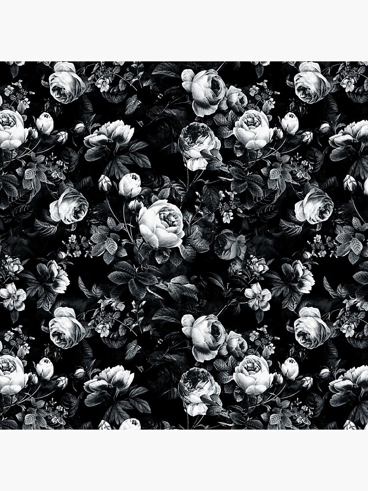 Roses Black and White by rizapeker