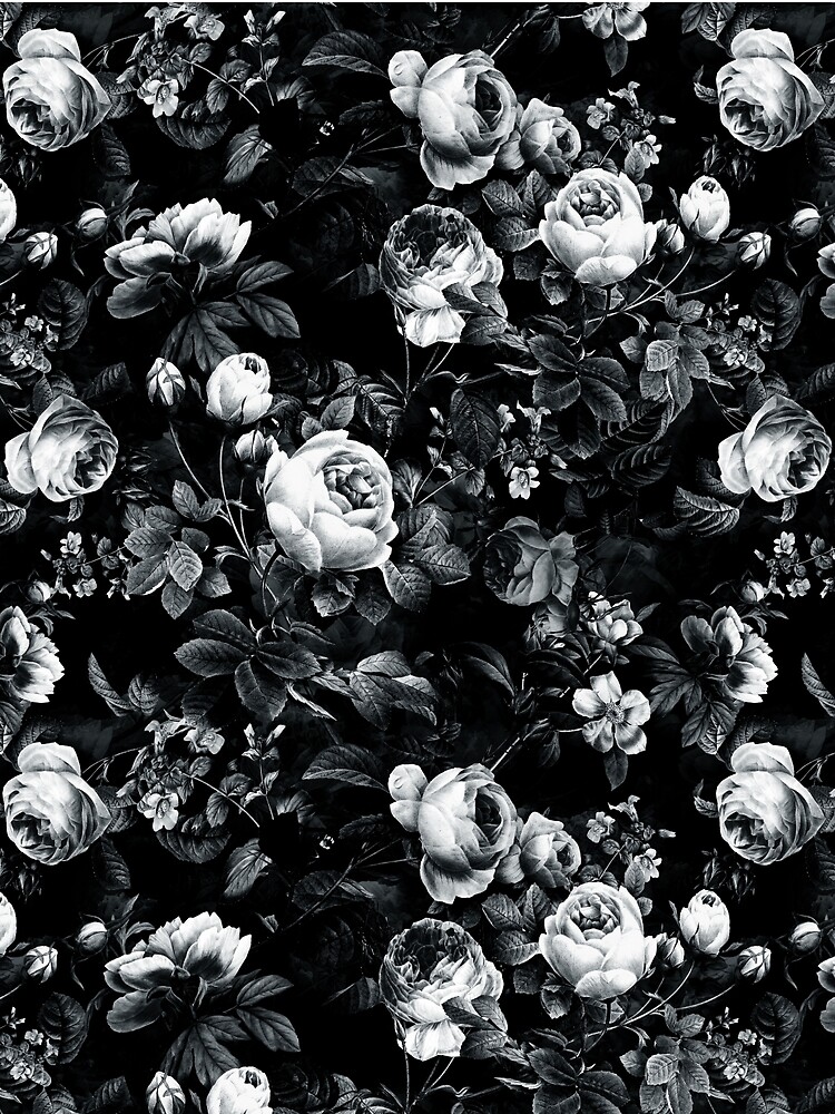 Roses Black and White by rizapeker