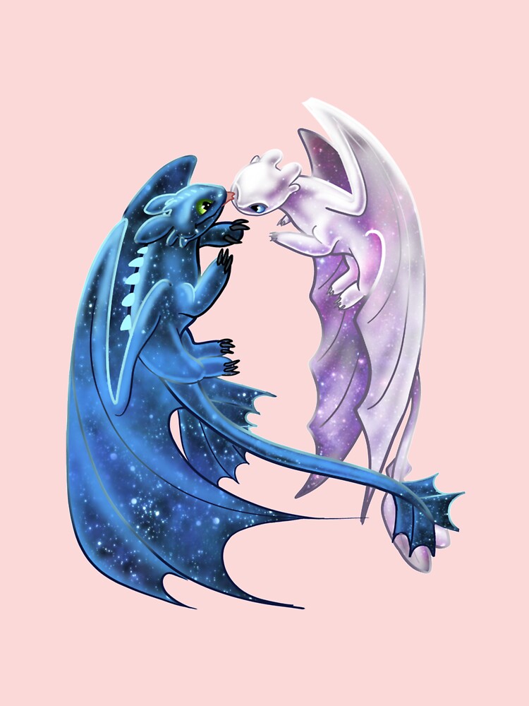 Dragon Heart - Starry Dragons - Toothless and Light Fury