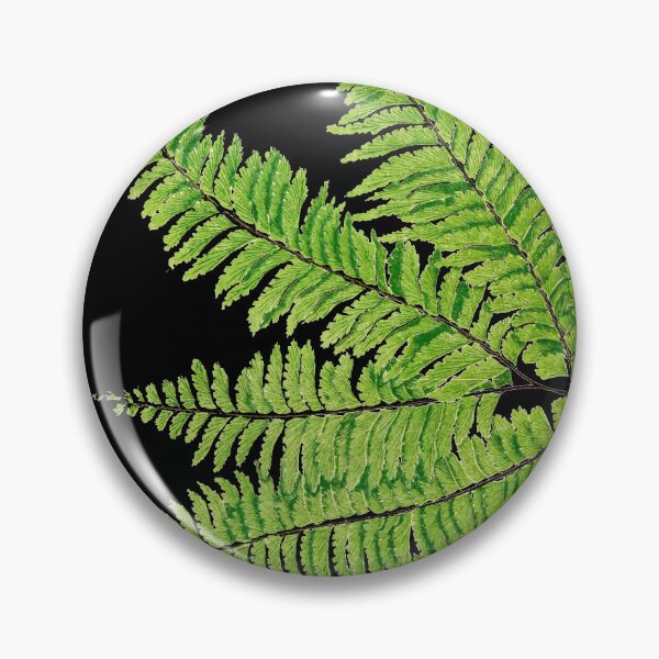 Item preview, Rare maidenhair fern botanical illustration designed and sold by chimakingthings.