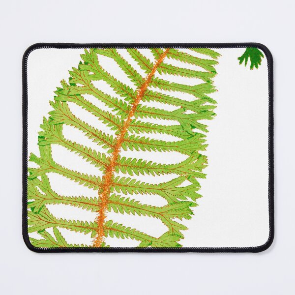 Item preview, Rare wood fern - Dryopteris designed and sold by chimakingthings.