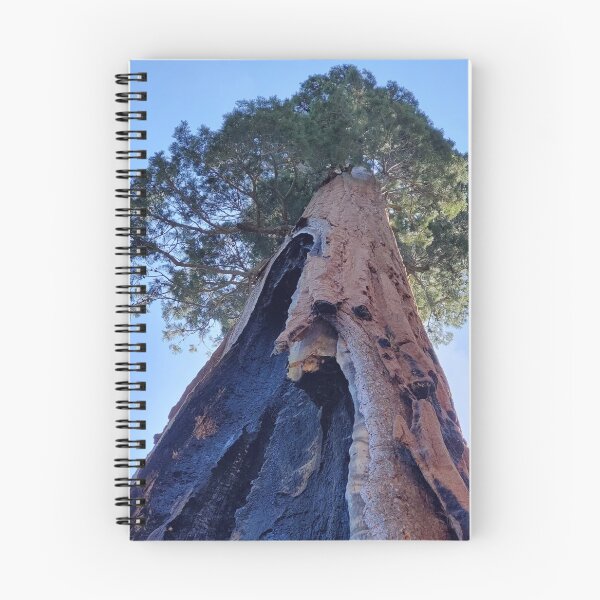 Item preview, Burned Sequoia Tree    designed and sold by ametcalfe22.